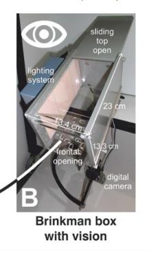 B: Entire “Brinkman Box”, with its upper part (top panel) in the open position.