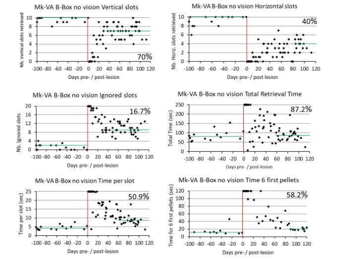 Figure 5: Extensive data derived from the “Brinkman Box without vision” task (no visual control) for Mk-VA (anti-Nogo-A antibody treated), showing 6 distinct quantitative parameters (ordinates) as a function of time, pre- and post-lesion (abscissas). Same conventions as in Figure 4.