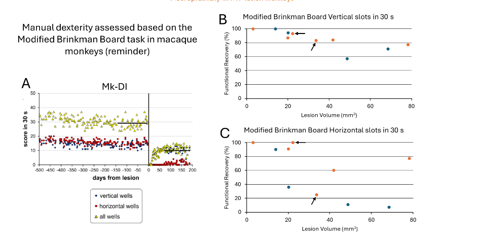 C: “Brinkman Box”, with its upper part in the closed position, a configuration in which the monkey performs the task without visual guidance (the hand is not visible; see video 1).