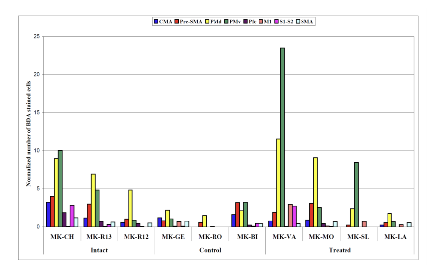 Figure 7: Behavioral data derived from the “Brinkman Box without vision” task (large symbols) for all monkeys (n=10), as assessed with the most 2 relevant parameters (“Time per slot” in A and “Time to retrieve the 6 first pellets” in B), plotted as a function of M1 lesion volume (abscissa; in mm3). The data are expressed by the percentage of functional recovery (A and B) and by the post-lesion data only (C and D). A small symbol (in A and B) reminds the percentage of functional recovery observed for the horizontal slots in the “modified Brinkman Board” task (in 30 sec.; same data as in Fig. 3C). Same conventions as in Fig. 3.