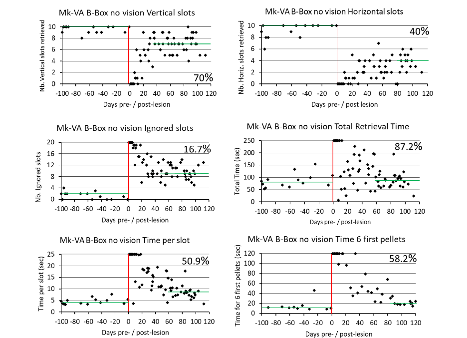 Figure 2: A: For Mk-DI, reconstructions of brain histological sections (50 microns thick; from rostral (27) to caudal (48)), showing the position and extent of the M1 lesion (in red), and aligned together in transparency of a lateral view of the corresponding hemisphere’s surface (bottom drawing). B, C and D: Same lateral views for the other monkeys included in the present study. The volume of the M1 lesion is indicated for each monkey (see also Table 1). Redrawn from previous reports 61,62,65,67,68,71,89,92.