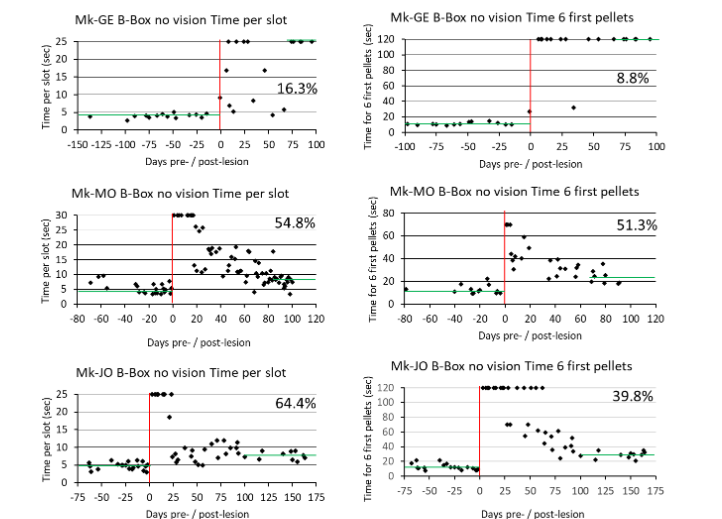 Figure 3: A: Typical manual dexterity score (ordinate) data derived from the “modified Brinkman Board” (Mk-DI), pre-lesion (abscissa: negative days) and post-lesion (positive days). B and C: Summary of previously published percentages of functional recovery for the 10 monkeys, derived from the modified Brinkman Board, separately for the vertical and horizontal slots. Blue symbols are for the control monkeys (no treatment), brown symbols for the treated monkeys. The 2 arrows point to the 2 ANCE-treated monkeys.