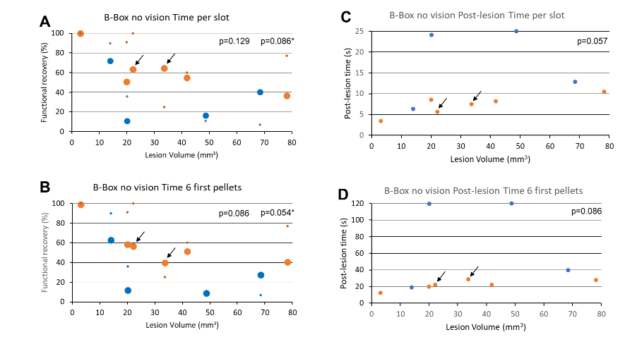 Figure 4: Extensive data derived from the “Brinkman Box without vision” task (no visual control) for Mk-DI (control), showing 6 distinct quantitative parameters (ordinates; see text) as a function of time, pre- and post- lesion (abscissas). In each graph, the vertical red line indicates the time point of the M1 lesion (day zero). Each data point corresponds to a daily session. The green horizontal lines correspond to the pre- and post-lesion median values used to compute the percentages of functional recovery.
