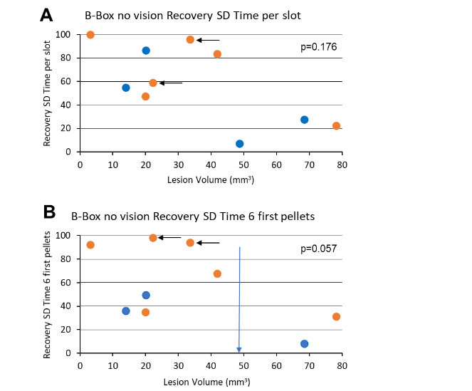 Figure 6: Data derived from the “Brinkman Box without vision” task (no visual control), limited to the 2 relevant parameters “time per slot” and “time for first 6 pellets” for Mk-GE (control), Mk-MO (anti-Nogo-A antibody-treated) and Mk-JO (ANCE-treated), and plotted as a function of time, pre- and post-lesion (abscissas). Same conventions as in the bottom rows of Figure 4.