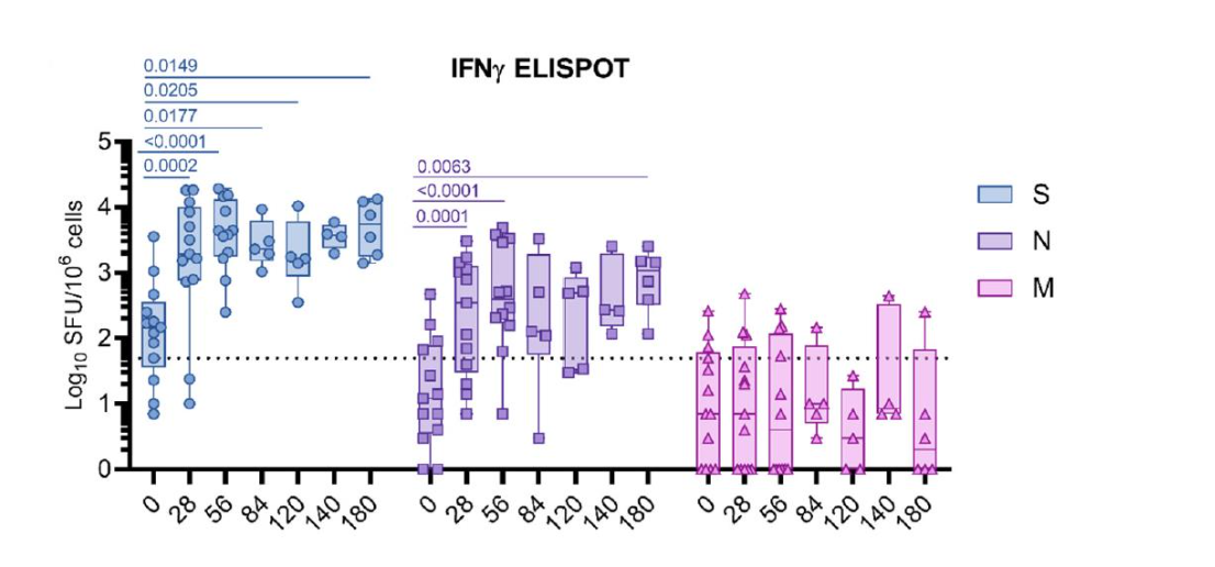 Figure 3: Anti-SARS-CoV-2 T-Cell Response following Vaccination with GEO-CM04S1 of Patients with Blood Cancers following Cellular Therapies