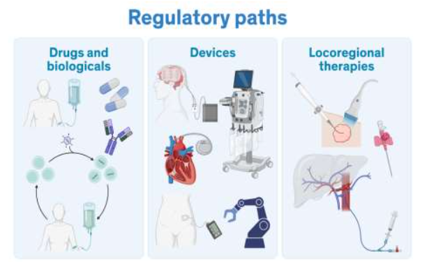 Figure 1: Regulatory Paths for Therapeutics