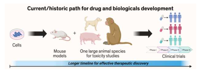 Figure 2: Current Development Path for Drug and Biologicals