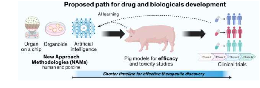 Figure 4: Proposed Path for Drug and Biologicals Development