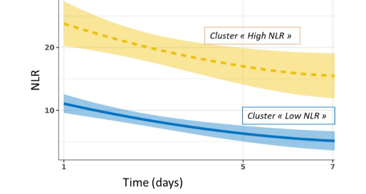 NLR endotypes overtime. The cohort was divided into two clusters based on NLR trajectories.