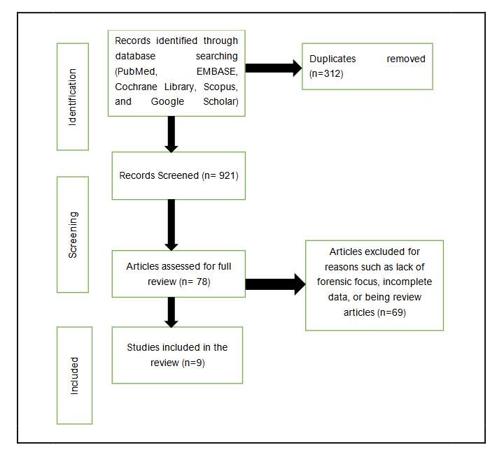 Figure 1: PRISMA flowchart