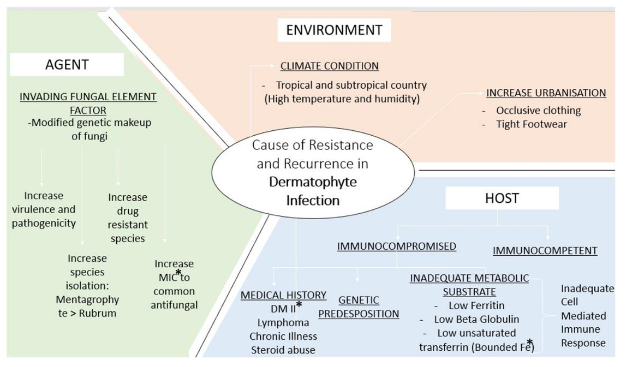 Figure 6: Causes of resistance and recurrence in dermatophyte infection
