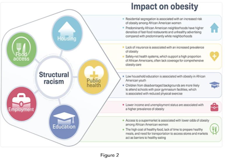 Figure 2: Economic Determinants of Obesity Risk