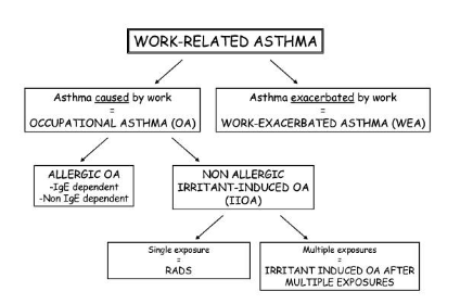 Figure 1. Classification of work-related asthma