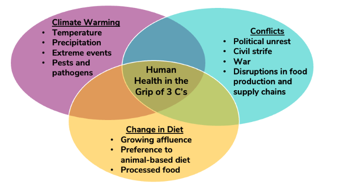 Figure 2. Three C’s: Human health risks of climate warning, conflicts, and changes in diets with growing emphasis on animal-based and processed food.