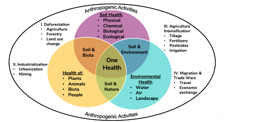 Figure 3. The soil-centric basis of the “One Health” concept. Soil is the basic foundation of nature. People are a part of the nature, and anthropogenic activities are driver of land use and land use change which alter the dynamics of factors affecting ecosystem and planetary health.