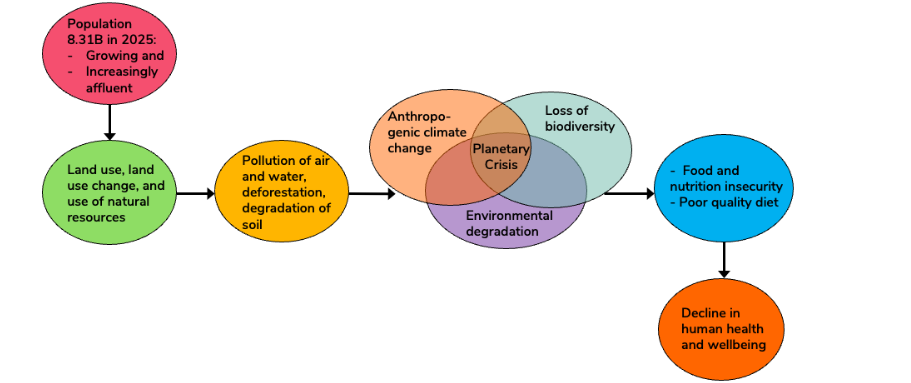 Figure 1. The population-driven planetary crisis with adverse effects on human health and wellbeing aggravated by food and nutrition insecurity along with poor quality of diet.
