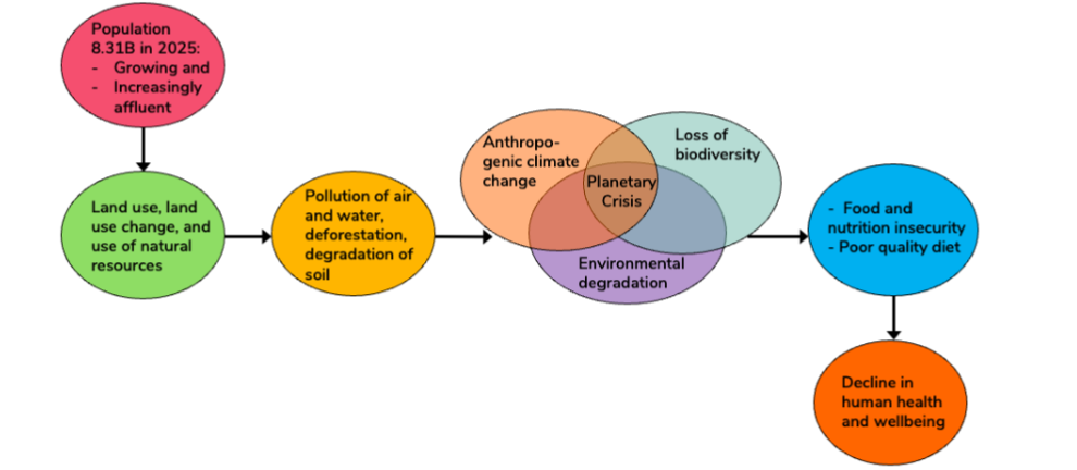 Figure 1. The population-driven planetary crisis with adverse effects on human health and wellbeing aggravated by food and nutrition insecurity along with poor quality of diet.
