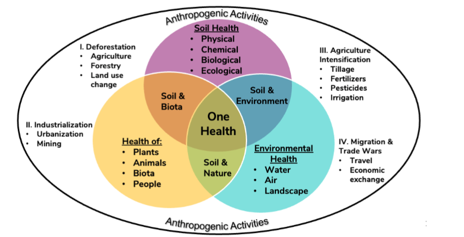 Figure 3. The soil-centric basis of the “One Health” concept. Soil is the basic foundation of nature. People are a part of the nature, and anthropogenic activities are driver of land use and land use change which alter the dynamics of factors affecting ecosystem and planetary health.
