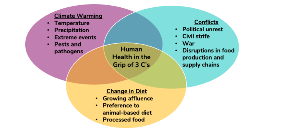 Figure 2. Three C’s: Human health risks of climate warning, conflicts, and changes in diets with growing emphasis on animal-based and processed food.