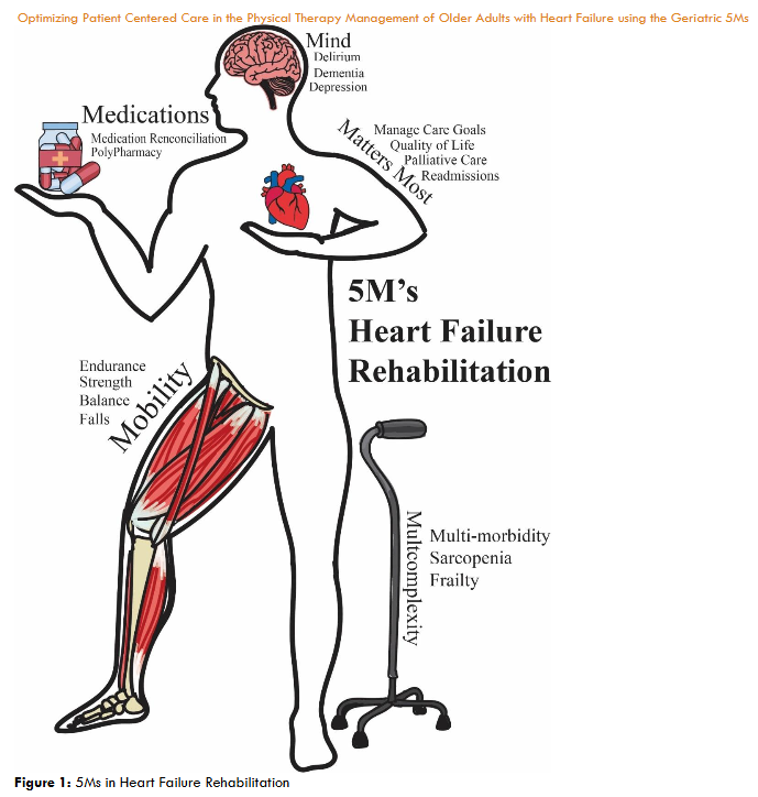Figure 1: 5Ms in Heart Failure Rehabilitation