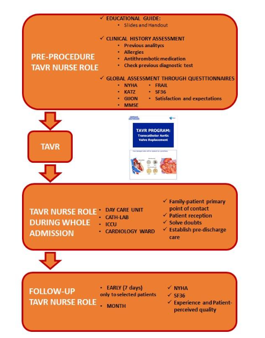Nursing assessment protocol in patient undergoing TAVR. Nurse role during each phase in the TAVR nurse protocol.