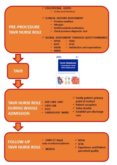 Nursing assessment protocol in patient undergoing TAVR. Nurse role during each phase in the TAVR nurse protocol.