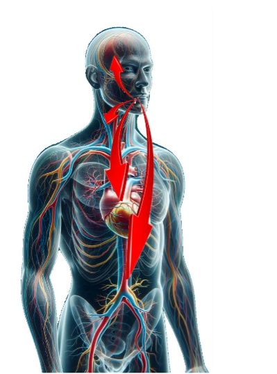 Cardiac issues that have been connected to oral biofilm