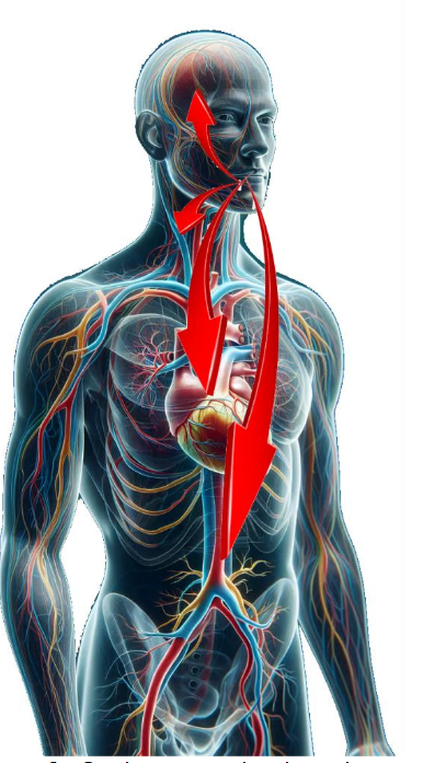 Cardiac issues that have been connected to oral biofilm