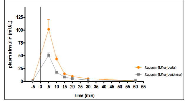 Figure 2: Appearance of insulin in the portal vein, at higher levels than in the periphery