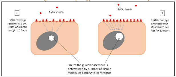 Figure 9: Use of Error Bars to Demonstrate Comparability of Oral and Injected Routes in Terms of Reproducibility