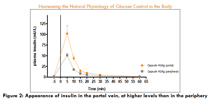 Figure 2: Appearance of insulin in the portal vein, at higher levels than in the periphery