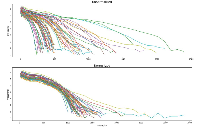 Figure 1. MRI Image Example