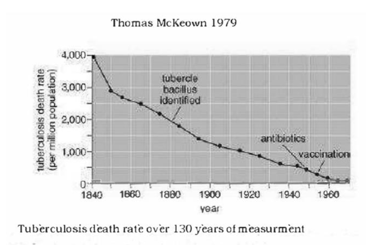 Graphic illustrating holistic approach.