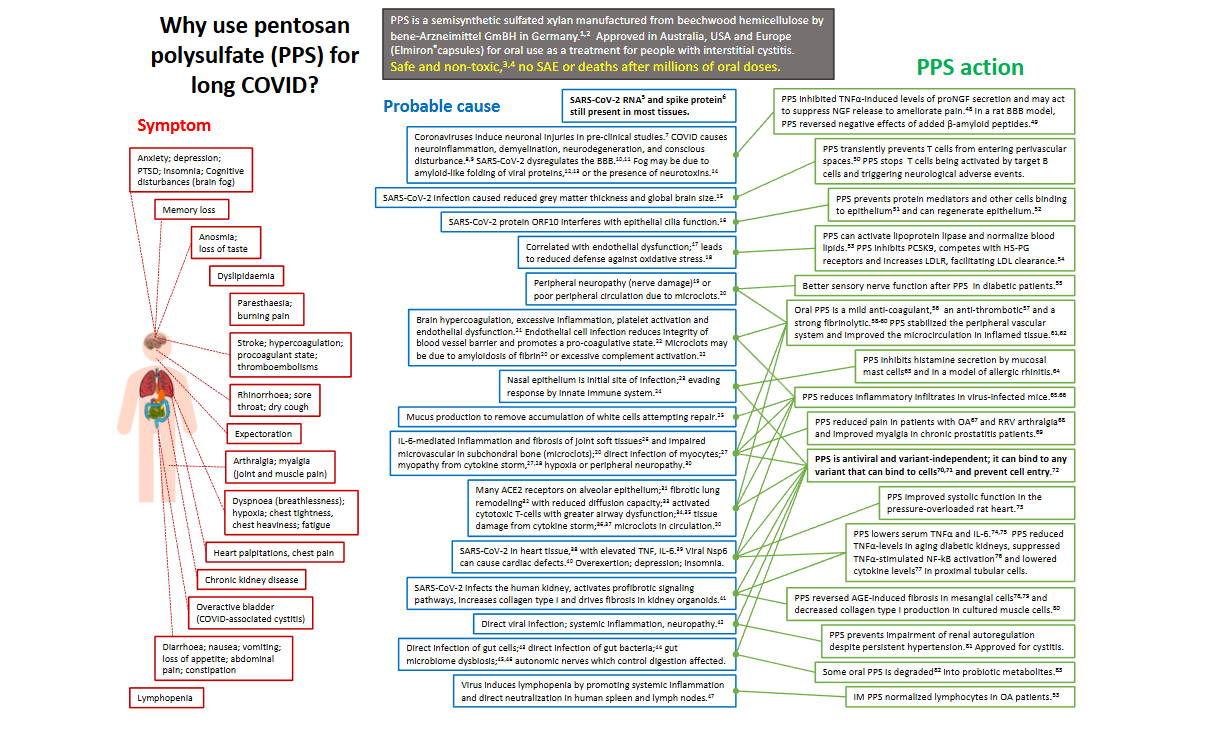 Supplementary Figure 1. Illustration of how the multifunctional properties of pentosan polysulfate (PPS) can be used to treat COVID-19 infected tissues.