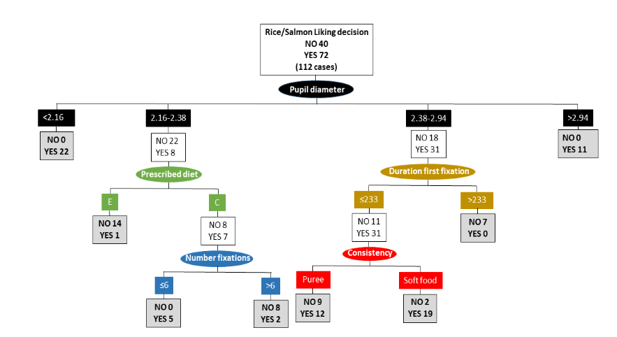 Classification tree explaining Rice/Salmon liking decision (YES/NO) in relation to eye-tracker parameters