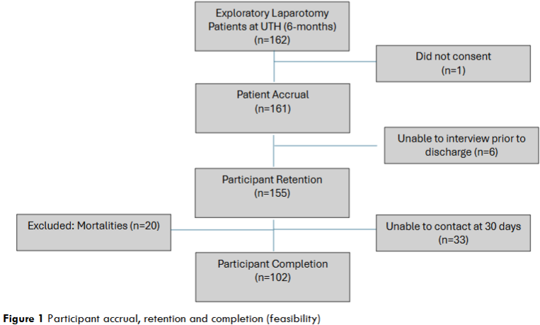 Figure 1 Participant accrual, retention and completion (feasibility)