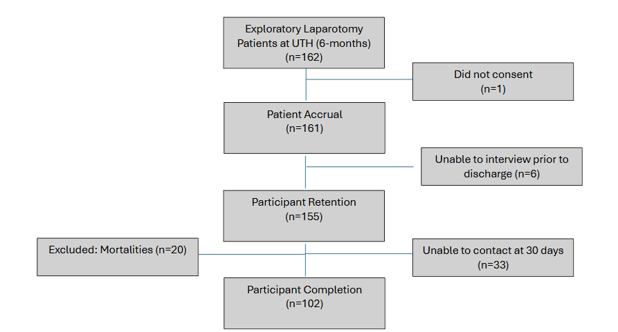 Figure 1: Participant accrual, retention and completion (feasibility)