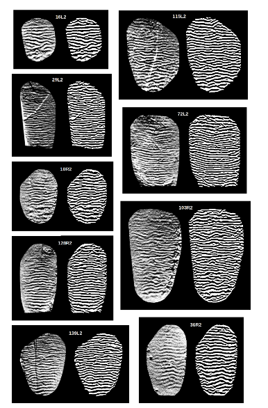 Examples of results obtained from the filtering algorithm. Input and output images are set side by side, left and right, respectively.