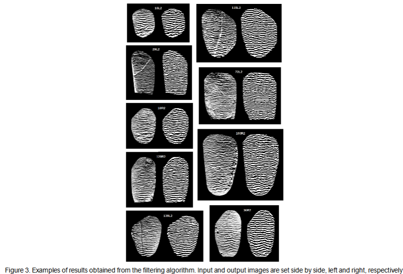 Figure 3. Examples of results obtained from the filtering algorithm. Input and output images are set side by side, left and right, respectively.