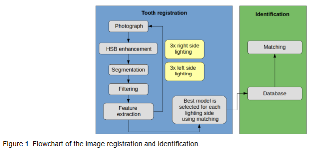 Figure 1. Flowchart of the image registration and identification.