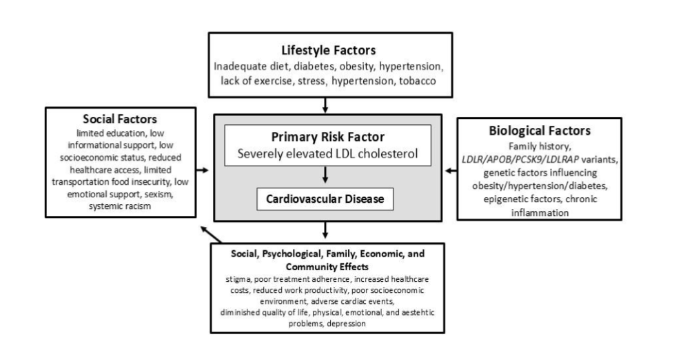 Lipoprotein apheresis process.