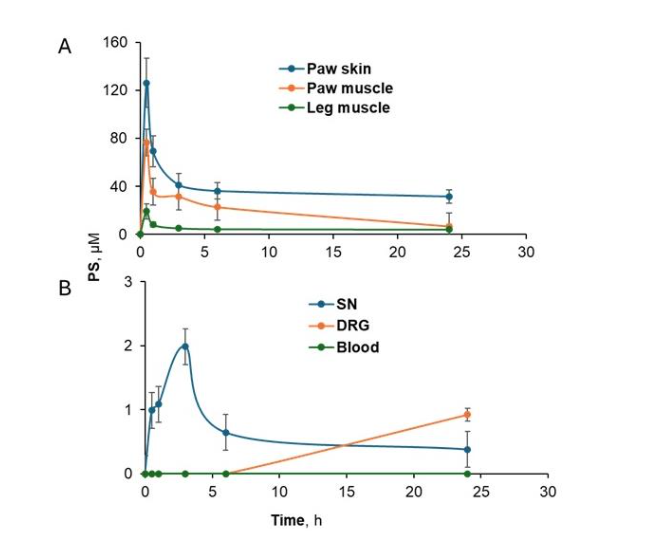 Kinetics and biodistribution of topical PS gel. PS was applied as an 8% pH 9.4 gel to the hind paw of normal mice. Concentration of PS progressively decreased from the skin (site of application) to more distal tissues like the sciatic nerve and dorsal root ganglia.