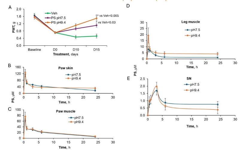 An elevated pH increases the effect of PS on CIPN and its biodistribution.