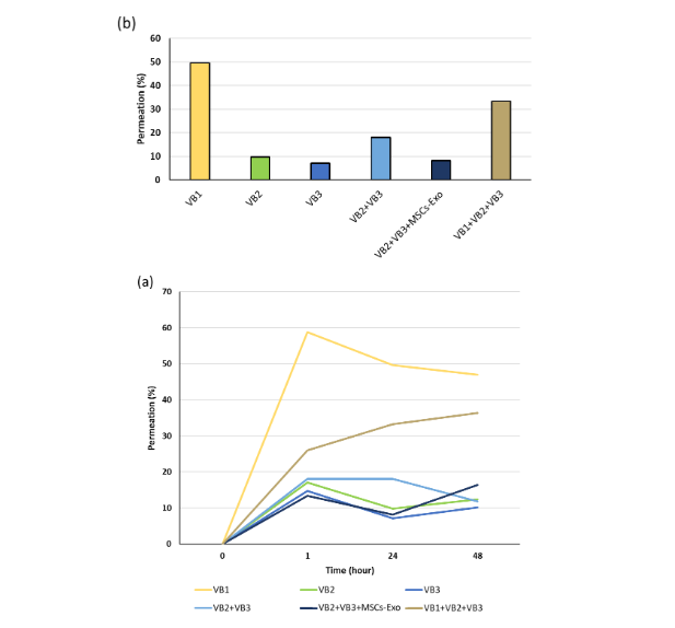 Fig. 5 Evaluation of skin permeability of VBs in the 3D skin model. The amount of VBs that penetrated the lower chamber was quantified by detecting VB constituent elements. (a) Time course of VB permeability at 1, 24, and 48 hours. (b) Permeation of VBs measured at 24 hours of culture.