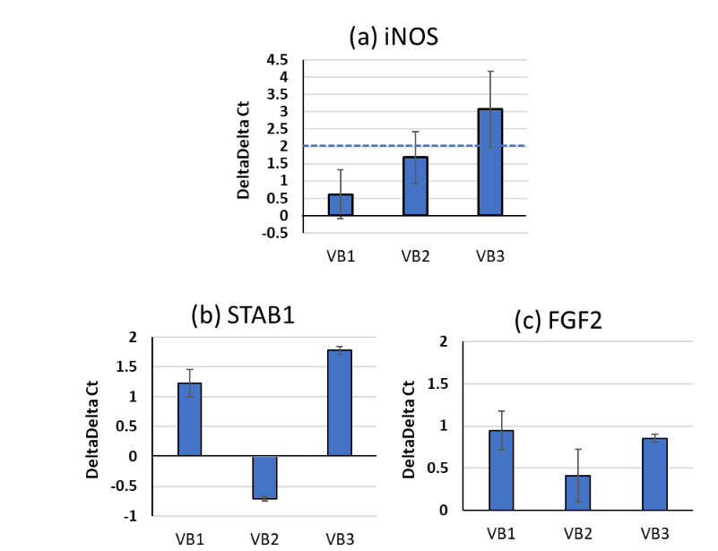 Fig. 6 Analysis of macrophage activation using quantitative real-time polymerase chain reaction (PCR). The mRNA expression levels of iNOS (a), STAB1 (b), FGF2 (c) were quantified in macrophages treated with VBs. A significant difference is evident when the delta-delta Ct value differs by more than two-fold over the control.