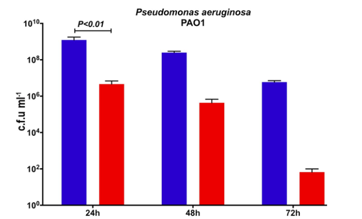 In vivo bacteriological results of CPZO vs. Pseudomonas aeruginosa. Adapted from Bello-Lopez, et al., 2020. In Vitro Bactericidal Activity of a Carbohydrate Polymer with Zinc Oxide for the Treatment of Chronic Wounds. J Med Microbiol. 2020;69(5):874-880. (Red column: Pseudomonas growth. Blue column: control).