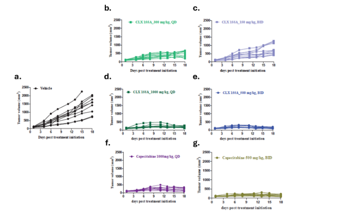 Figure 4. Tumor volume in HCT-116 Human Colon Cancer Xenograft Nude Mice Model. Individual animals in (a) Vehicle, (b) CLX-155A 300 mg/kg QD, (c) CLX-155A 150 mg/kg BID, (d) CLX-155A 1000 mg/kg QD, (e) CLX-155A 500 mg/kg BID, (f) Capecitabine 1000 mg/kg QD, and (g) Capecitabine 500 mg/kg BID groups. Each line represents data from one animal.