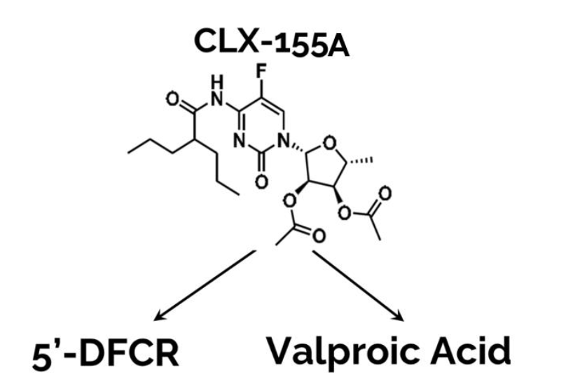 Figure 1. CLX-155A is a prodrug converted by the intestinal esterases to valproic acid and 5'-DFCR, precursor to 5-FU.