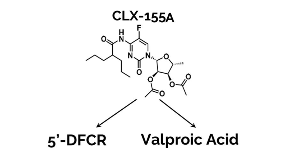 CLX-155A is a prodrug converted by the intestinal esterases to valproic acid and 5'-DFCR, precursor to 5-FU