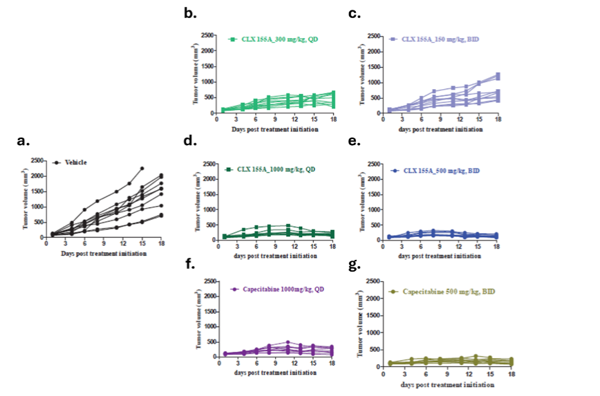 Tumor volume in HCT-116 Human Colon Cancer Xenograft Nude Mice Model. Individual animals in (a) Vehicle, (b) CLX-155A 300 mg/kg QD, (c) CLX-155A 150 mg/kg BID, (d) CLX-155A 1000 mg/kg QD, (e) CLX-155A 500 mg/kg BID, (f) Capecitabine 1000 mg/kg QD, and (g) Capecitabine 500 mg/kg BID groups. Each line represents data from one animal.